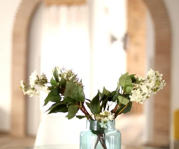 Atico En El Puerto De Denia