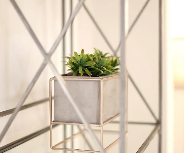 Daire Atico En El Puerto De Denia